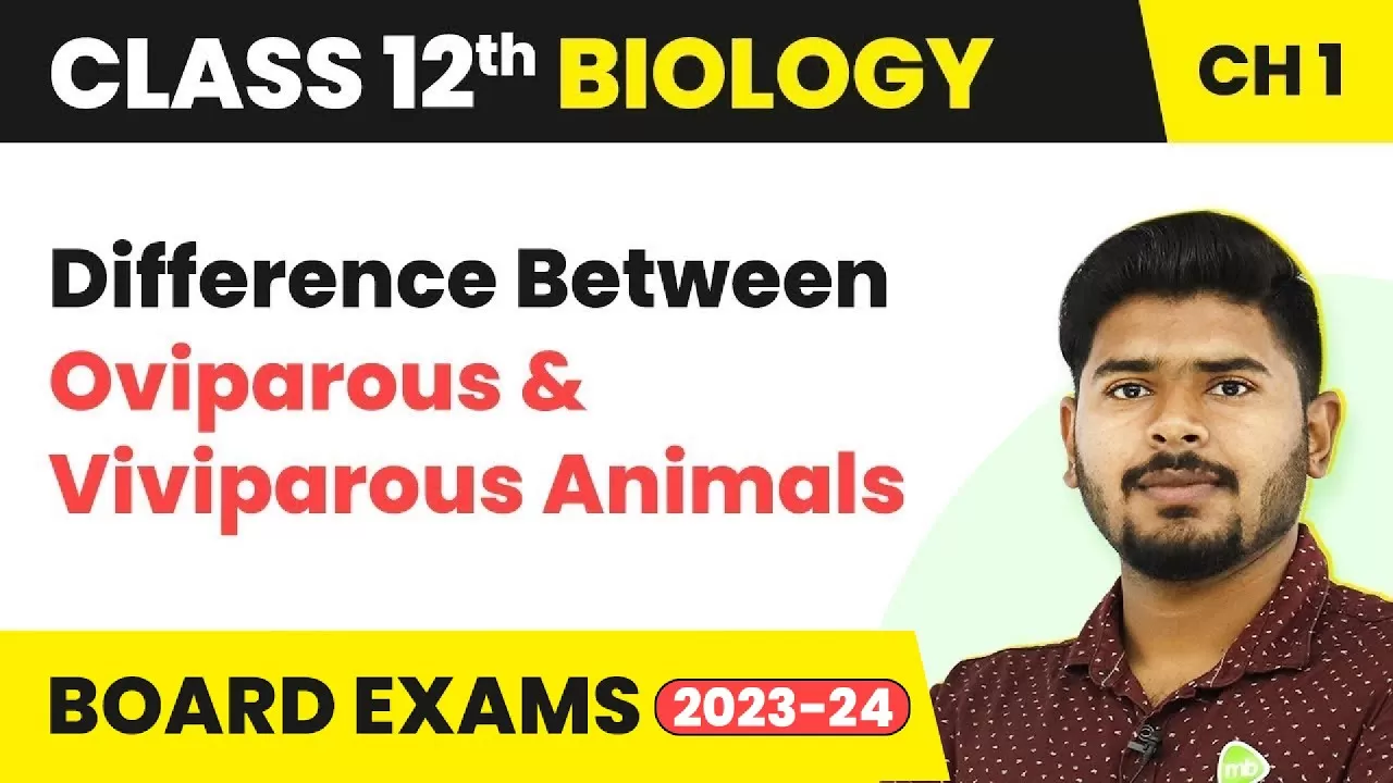Class 12 Biology Ch1 |Difference Between Oviparous & Viviparous Animals -  Reproduction in Organisms ❤️ Medical College Directory